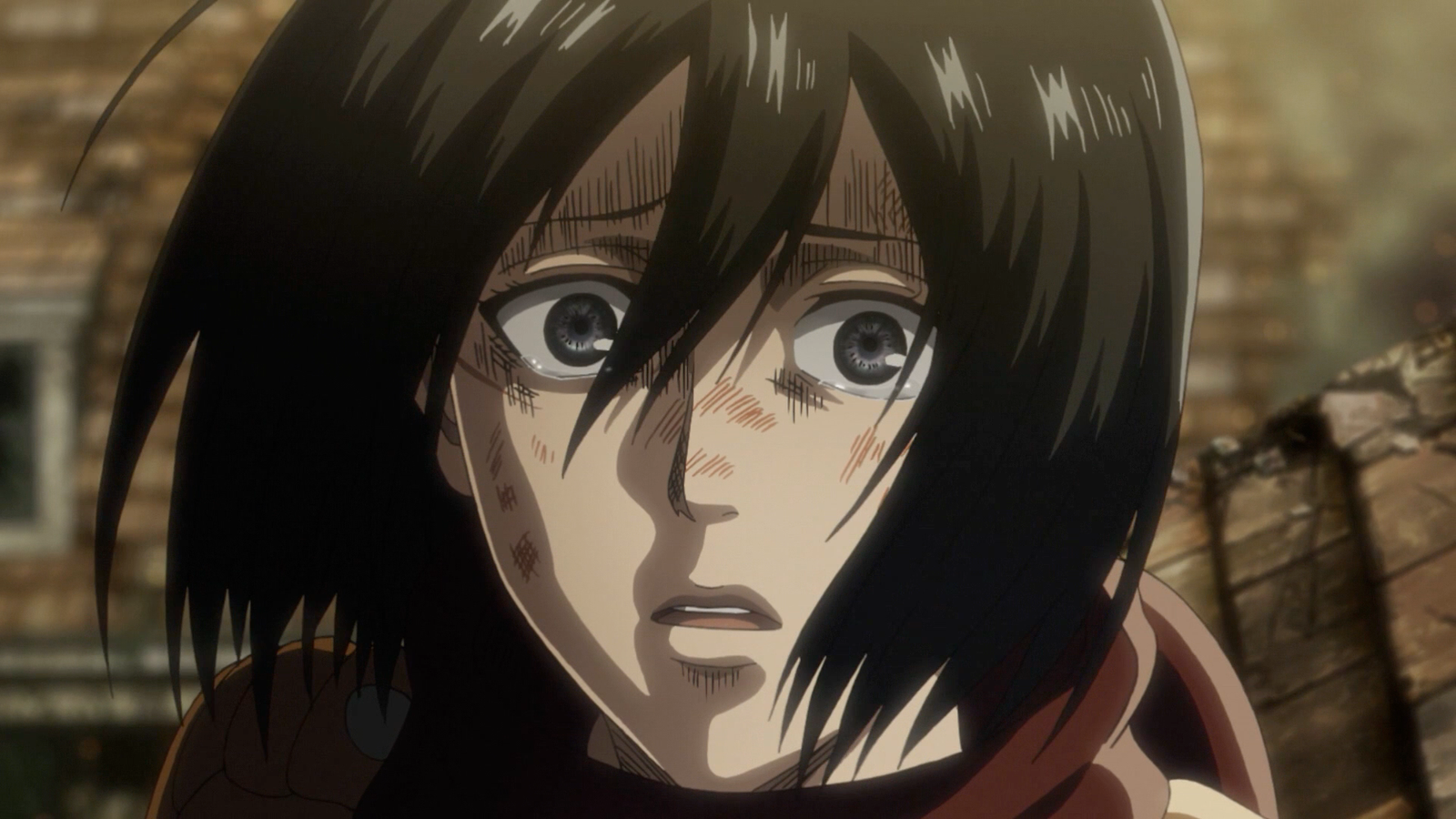 Mikasa's reaction to Levi choosing Erwin