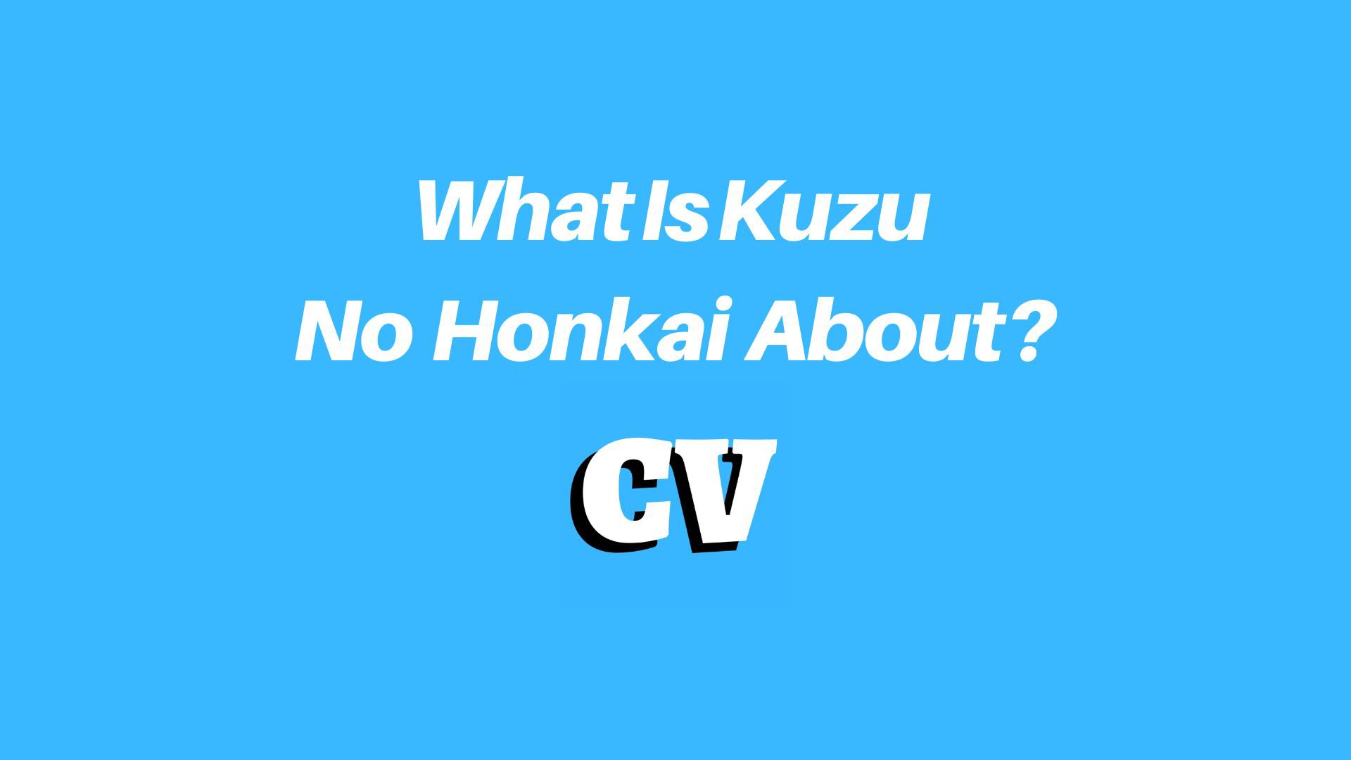 What Is Kuzu No Honkai About?