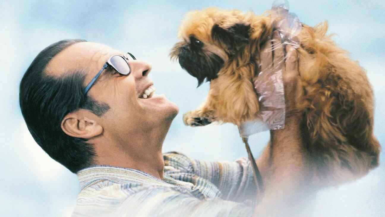 Comedy Dramas To Watch - Cradle View 2026