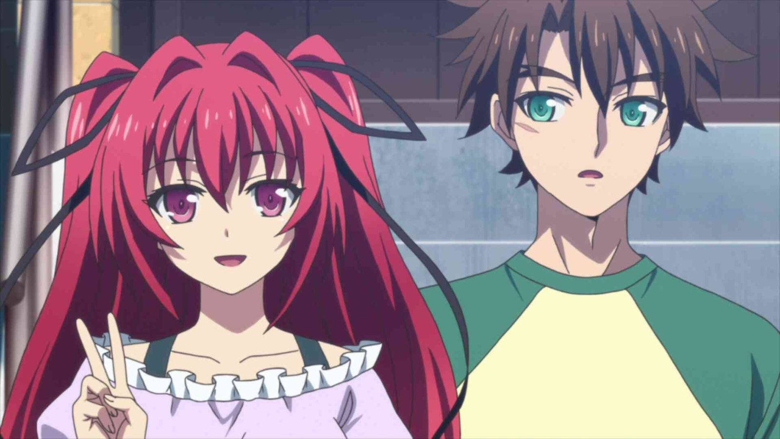 The Testament of Sister New Devil