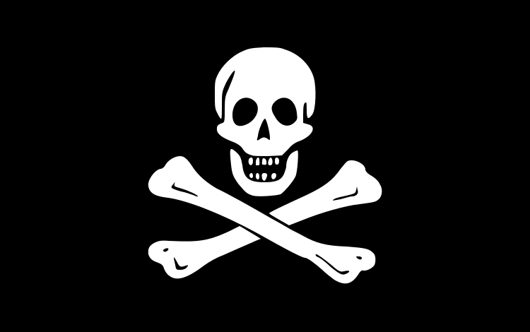 Cradle View Anti Piracy Statement