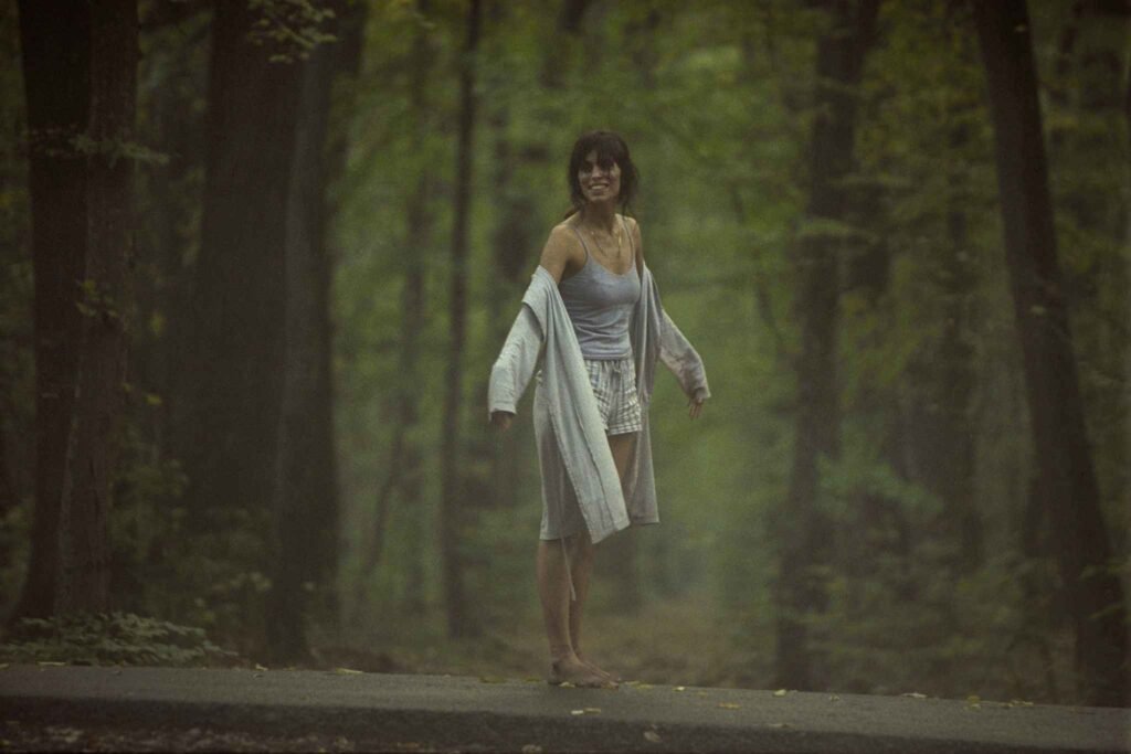 High Tension (Haute Tension)