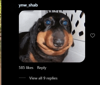 Brazilian Folk Song Video Instagram Comments 1